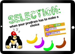 selection.png