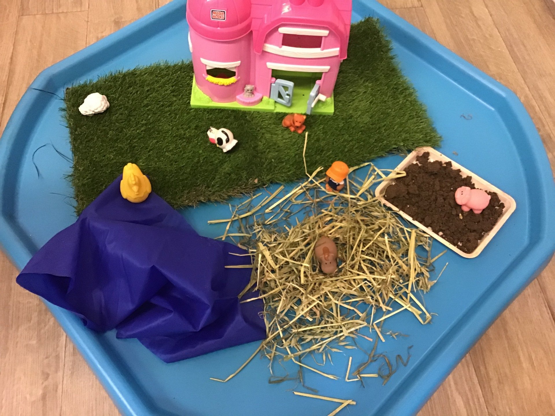 Tiny Toes Day Nursery Farm Tuff Tray