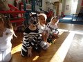 DSC09245.JPG