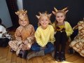 DSC09246.JPG