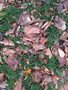 IMG_7620.JPG