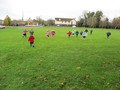 IMG_7628.JPG
