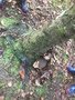 DEB8025F-513C-4584-A09B-9BE3AC60D4D7.jpeg