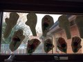 IMG_2534.JPG