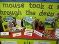 our book display