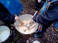 IMG_20201118_091914.jpg