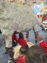 IMG_5349.JPG