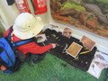 IMG_5571.JPG