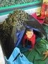 IMG_5586.JPG