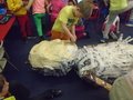 DSC08011.JPG