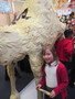 IMG_5674.JPG