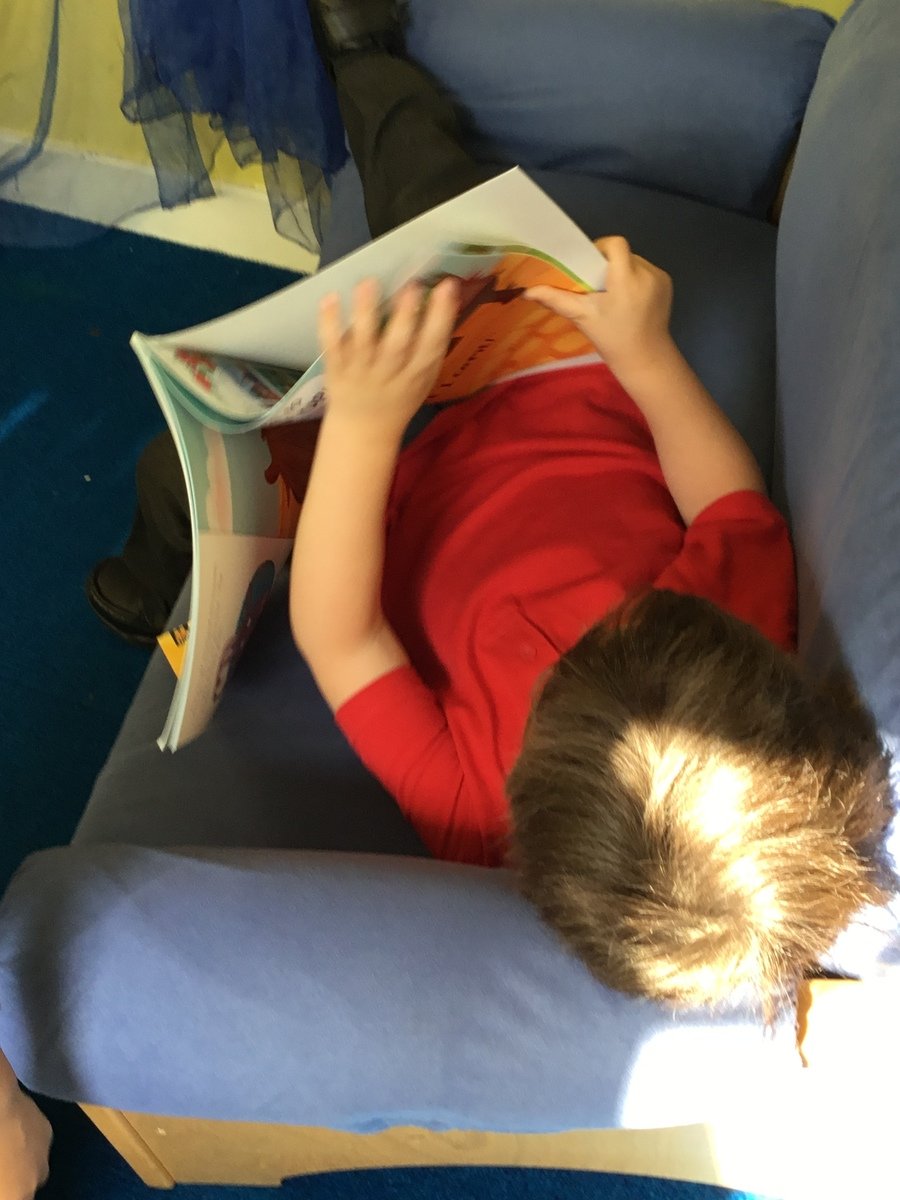 Harrison really enjoyed reading his book.