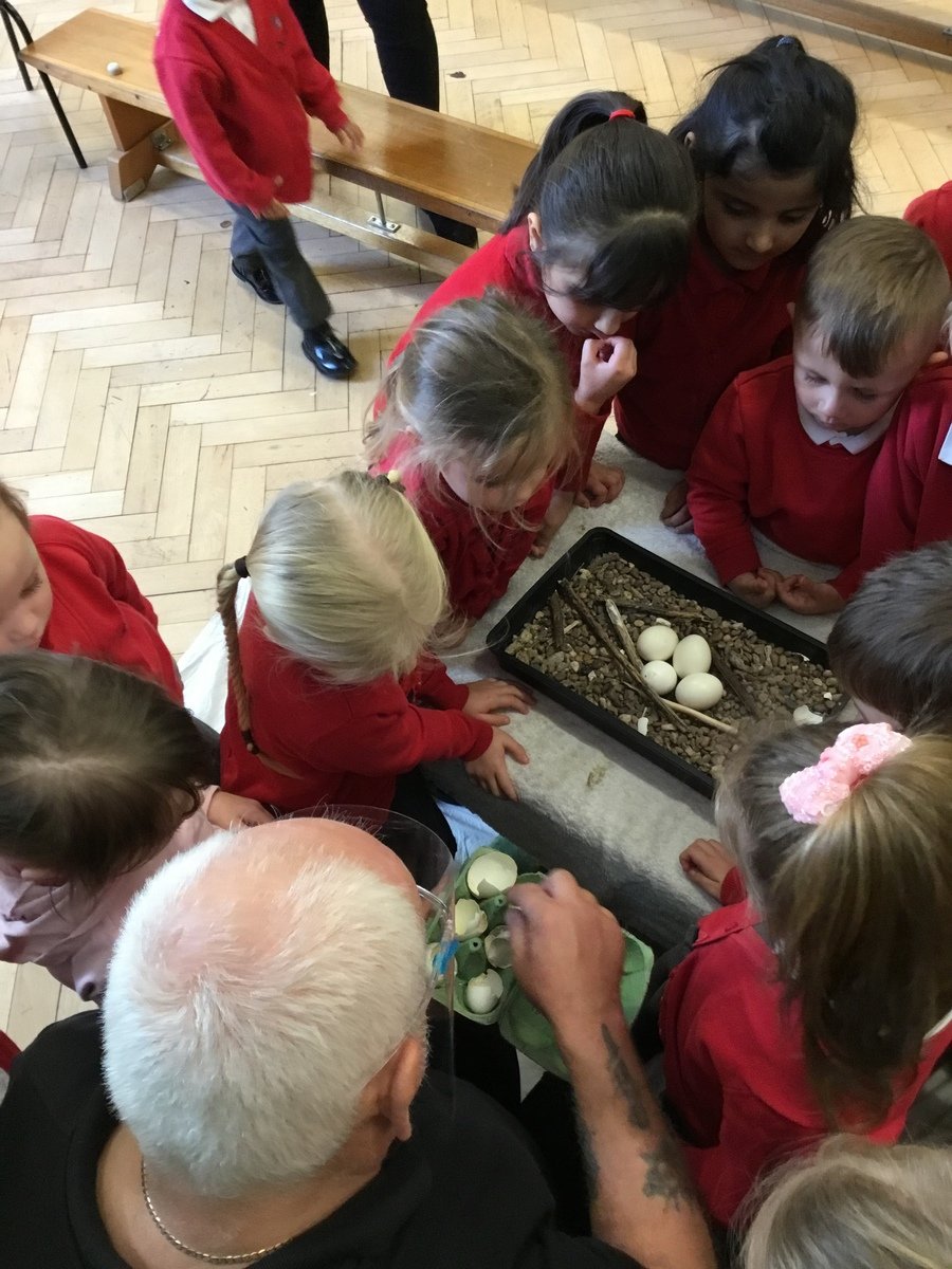 Can you remember Steven telling us about how the owls build their nest and the fledglings hatch out. Make your nest and baby owl.