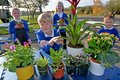 Children bring in a plant 2