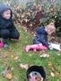 IMG_20201027_151514.jpg