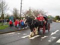 IMG_5156.JPG