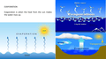 Water Cycle.PNG