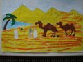 IMG_9582.JPG