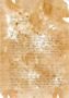 papyrus writing.JPG