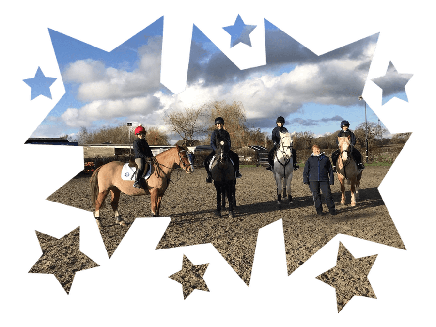 Click on the Star to access the Minis' Members' Area.  (You will need a password for this)