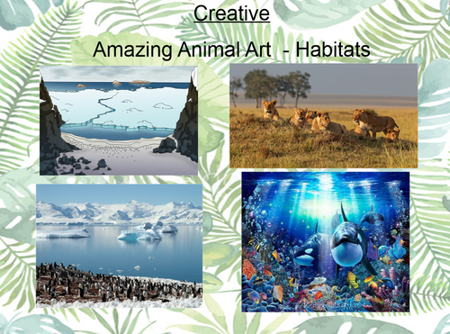creative4.PNG