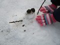 IMG_0074.JPG