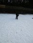 IMG_0081.JPG