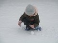 IMG_0251.JPG