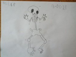 Oscar skeleton drawing.jpg