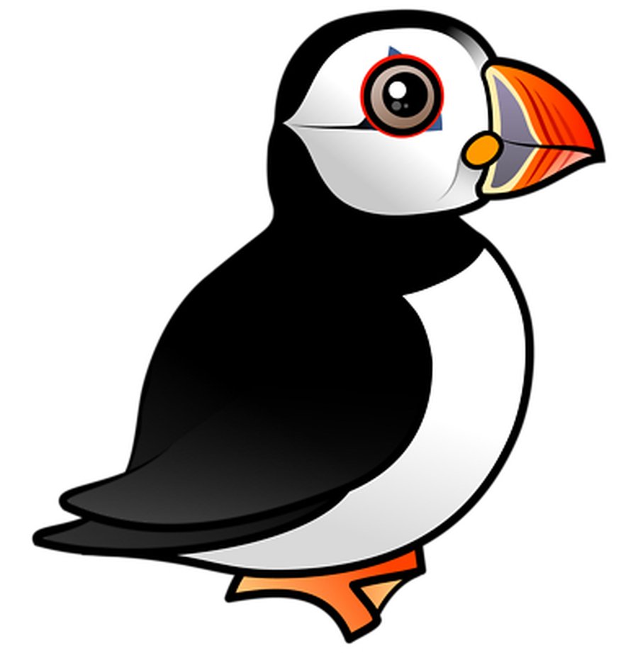 Puffin