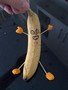 Banana puppet.jpg