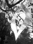 P1000590.JPG