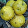 P1000596 - Copy.JPG
