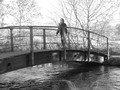 P1000660.JPG