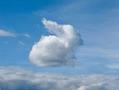 cloud.jpg