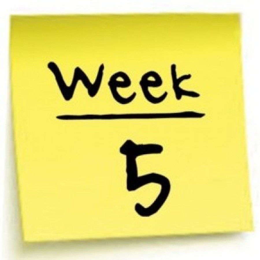 Five weeks. Week надпись. Неделя надпись. 13 Weeks надпись.