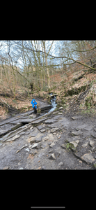 Lucas exploring Healey Dell
