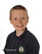 Y5 Maple - Ben
