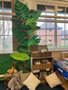 2NA Reading Area.jpg