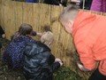IMG_0798.JPG
