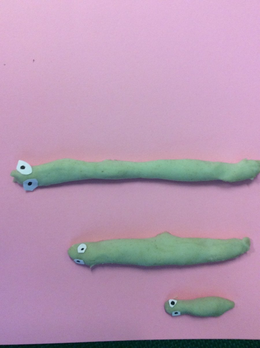 The snakes we made at school.