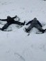IMG_8320.jpg