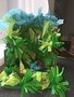 IMG_1256.JPG