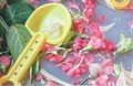 Flower Sensory Tray 2.jpg