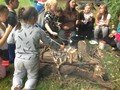 nursery website 2 071.jpg