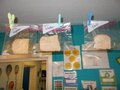 DSCN0171.JPG