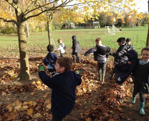 woodland learning 1.jpg