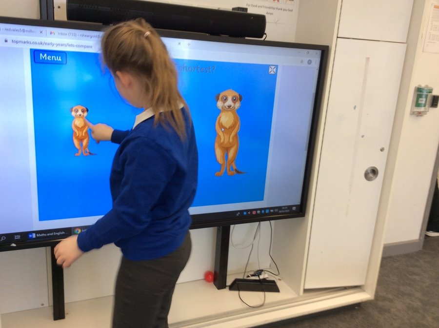 I, Year 3, Pathway 2 who is using the interactive whiteboard to identify the tallest and the shortest lion in maths. This is linked to our current story which is "The Lion King." Excellent maths work!