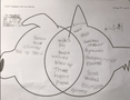comparing the stories.PNG