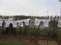IMG_5861.JPG